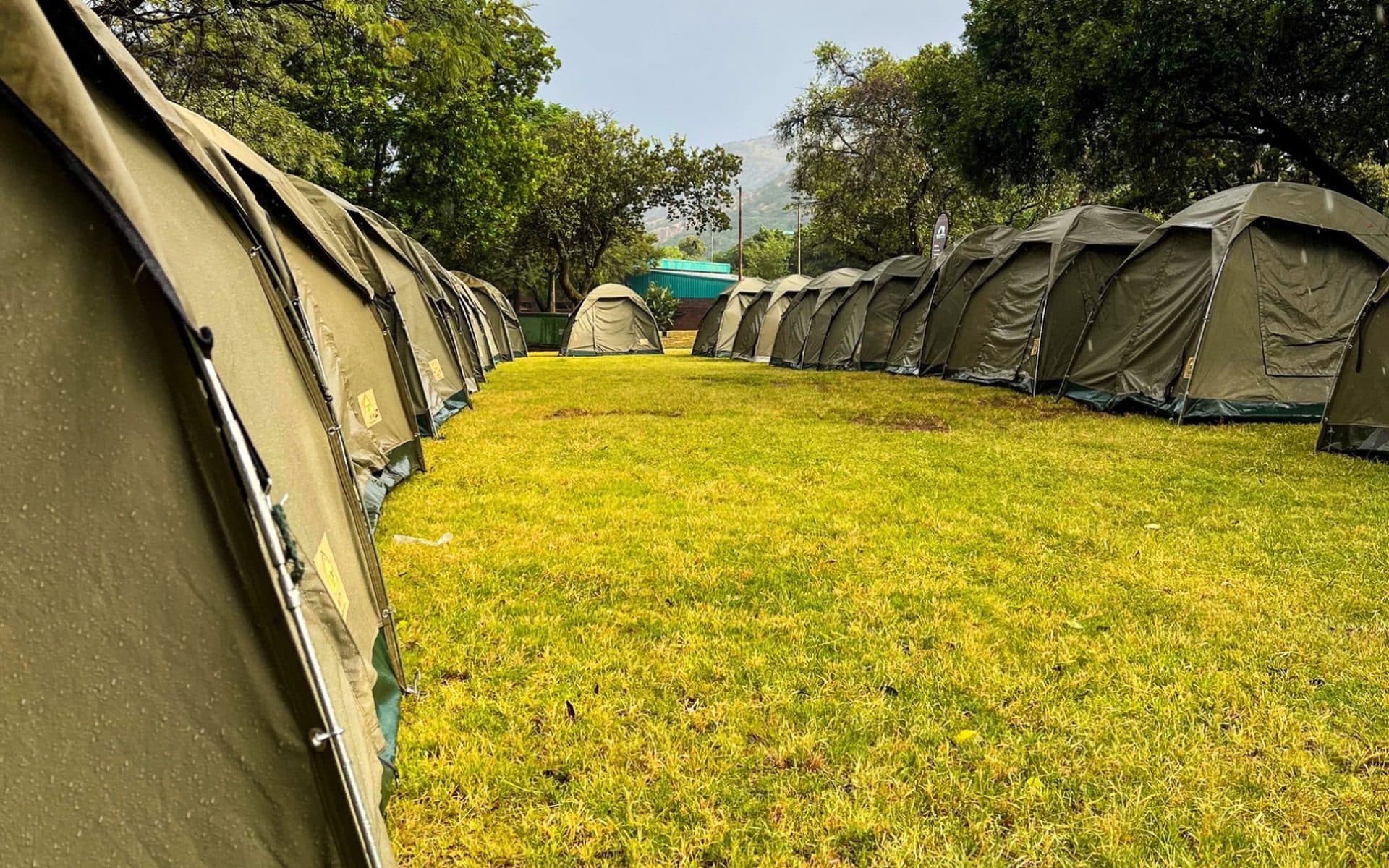 Camping Adventures